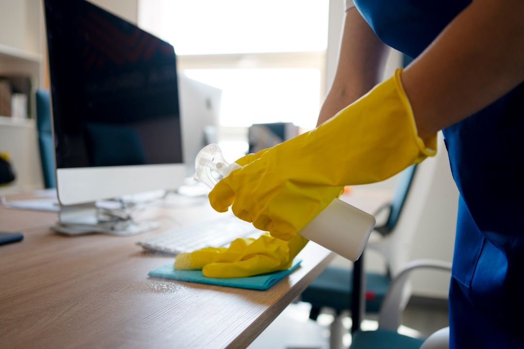 regular cleaning services